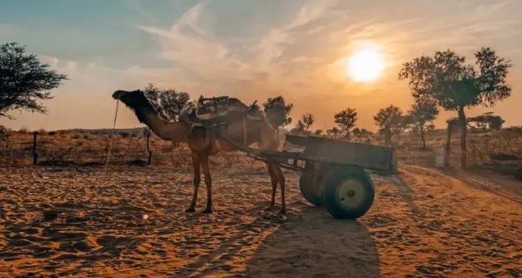 10 Days Royal Rajasthan Tour Package