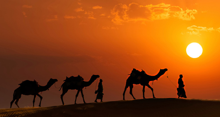Top Rajasthan Tour Packages Starting from Ajmer